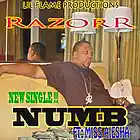 Picture for song ''Numb' Produced by Saki XL' by artist 'RazorR'