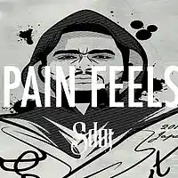 Picture for song '*NEW* Pain Feels (FREE DL + BUY 1 GET 1 FREE)' by artist 'SdotFire'