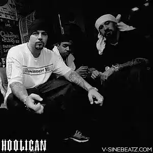 Picture for song 'Hooligan (Buy 1 Get 1-3 FREE)' by artist 'V-Sine Beatz'