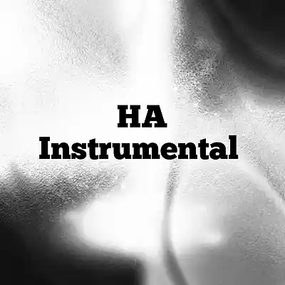 Picture for song '(120BPM) HA Instrumental' by artist '2025'