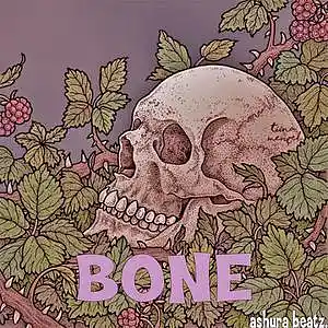 Picture for song 'BONE (bones x ghostemane type beat)' by artist 'ashura beatz.'