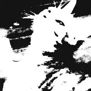 Picture for song 'NighTTime KaTz' by artist 'Beat Masta Cheese'