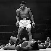 Picture for song 'The Calling - R.I.P. ALI $0.99 Demo DL' by artist 'Kriss Liss'