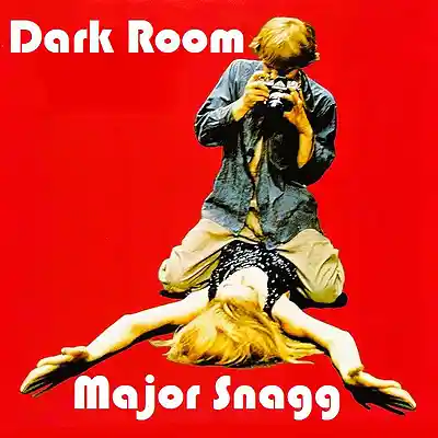 Picture for song 'Dark Room (Na2 S2 O3)' by artist 'Major Snagg'