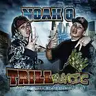 Picture for song 'Goin Pro' by artist 'Noah O'