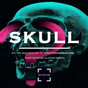 Picture for song 'Hard Japanese "Skull" BUY 2 GET 1 FREE' by artist 'No Excuse Beats'