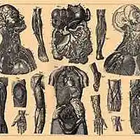 Picture for song 'Encyclopedic' by artist 'Rayzorhead'