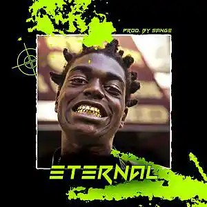 Picture for song 'Polo G x Toosii x Kodak Black Type Beat - Eternal' by artist 'sange beats'