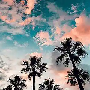 Picture for song 'ATARDECER - West Coast x G-Funk Type Beat' by artist 'LIL YAZU BEATS'