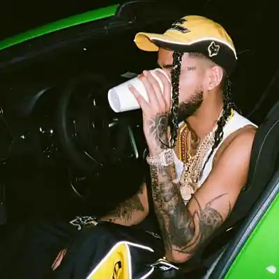Picture for song '"FULL BAG" Hadess66 x YVNGCHIMI Type Beat' by artist 'Young High'