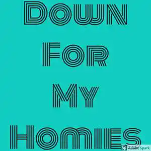 Picture for song 'Down for My Homies (Wassup My Homie Anthem)' by artist 'Four11 Productions'