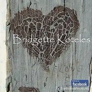 Picture for song 'More Than I'm Willing To Show' by artist 'Bridgette Koteles'