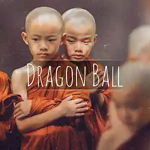 Picture for song 'Dragon Ball' by artist 'BeatBrotha'