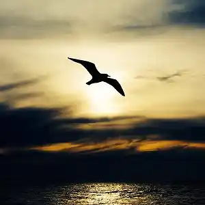 Picture for song 'Wind & Rain' by artist 'James and Kathy'