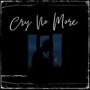 Picture for song 'Cry No More' by artist 'KEVINBDOPE'