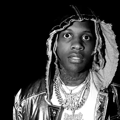 Picture for song 'determination' by artist 'Loddogzbeats'