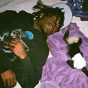 Picture for song 'LIL UZI VERT "FUTSAL SHUFFLE"' by artist 'storm on da beat'