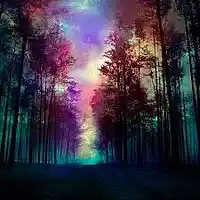Picture for song 'Sailing Across the Universe' by artist 'The Band N8'