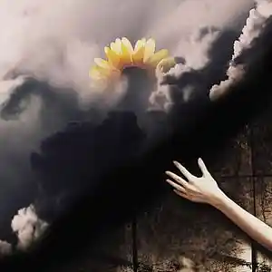Picture for song 'Out Of Reach' by artist 'Veli Brandau'
