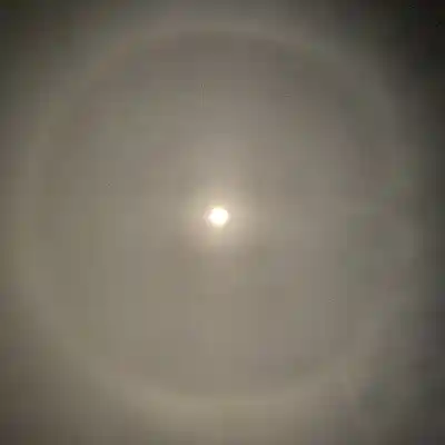 Picture for song 'I Got You' by artist 'Zonic-viruZ'