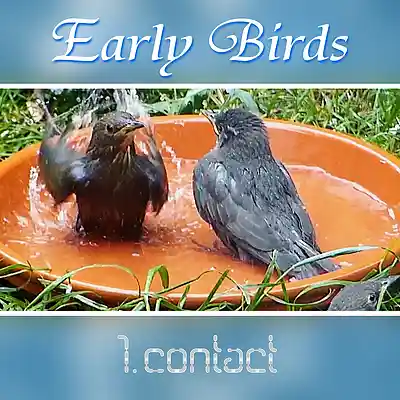 Picture for song 'Early Birds' by artist '1st Contact'