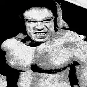 Picture for song 'SUPER MeGa UlTra GorilLa NxxGa NINJA' by artist 'Beat Masta Cheese'