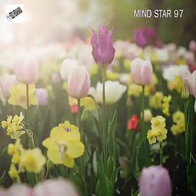 Picture for song 'Mind Star 97' by artist 'Eizi Hirahara'