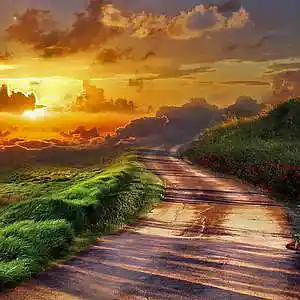 Picture for song 'can't find my way home - Steve Winwood' by artist 't polimeros'
