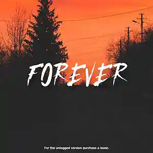 Picture for song '"FOREVER" Juice WRLD Type Beat' by artist 'HIWYER'