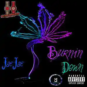 Picture for song 'BURNIN DOWN' by artist 'JJ937'