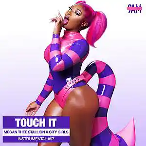 Picture for song 'Touch It - Megan Thee Stallion Type Beat' by artist 'Prod. by 9AM'