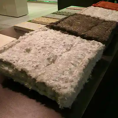 Picture for song 'rubberhat' by artist 'Roger mc'