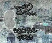 cover pic