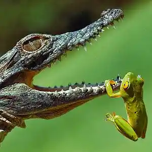 Picture for song 'Don't ask me 1.....' by artist 'stefanos grigoriadis'