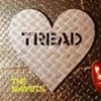 Picture for song 'Checkerplate Heart' by artist 'The Smivets'
