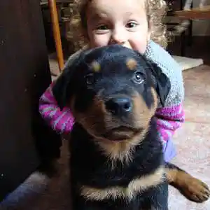 Picture for song 'la cuarentenita' by artist 'Beto Copp'