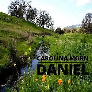 Picture for song 'Daniel' by artist 'Carolina Morn'