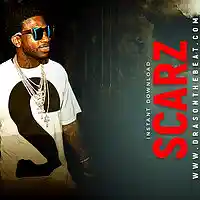 Picture for song 'ScarZ' by artist 'Dras On The Beat'