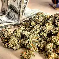 Picture for song '*NEW* 50Racks (FreeDL)' by artist 'JS ProductionZ'