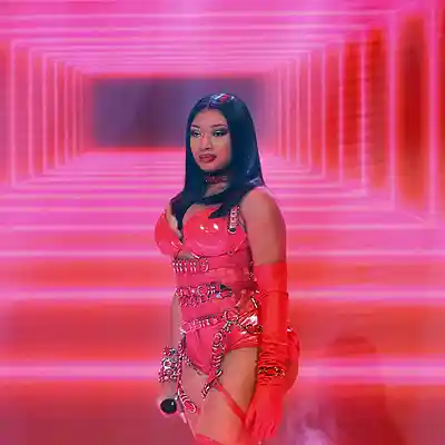 Picture for song 'The Rodeo Megan Thee Stallion Free DL' by artist 'Martin R'