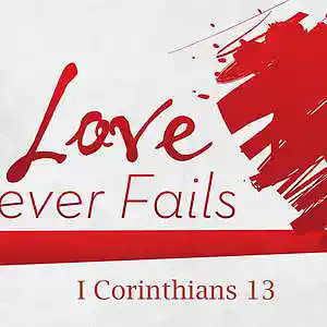 Picture for song 'You Never Fail (Instrumental)' by artist 'My Shepherd King'