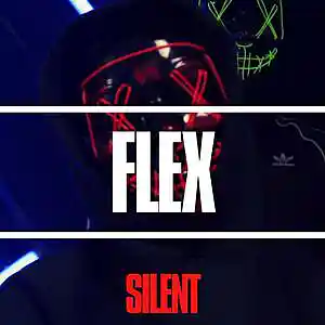 Picture for song '"FLEX" NY Drill Instrumental' by artist 'Silent The Producer'