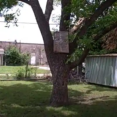 Picture for song 'Hitch in Your Swing' by artist 'Woody Adams'