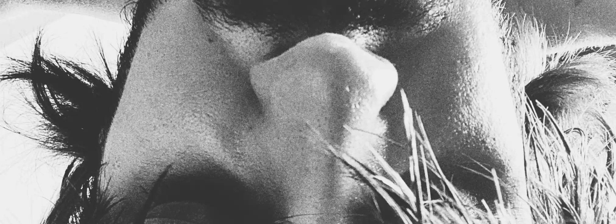 cover pic