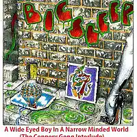 Picture for song 'Wide Eyed Boy (Edward Lear Interlude) ' by artist 'BIG SLEEP'