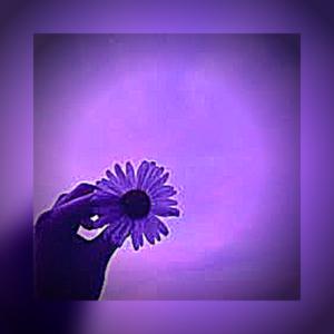 Picture for song 'A Wish (Deep Chill Bass)' by artist 'Bonnie Beats'