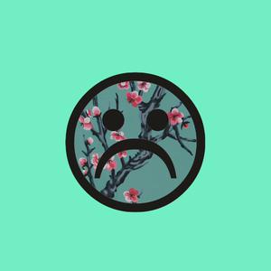 Picture for song 'Last Words Worth Said (Lil Peep x Juice WRLD)' by artist 'Bonnie Beats'