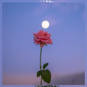 Picture for song 'Swae Lee - "Fast Sleep and Love" Dancehall' by artist 'CloudPeopleFam'