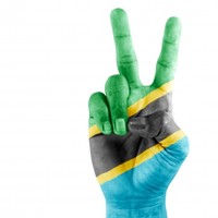 Picture for song 'Zombie Apocalypse' by artist 'Djextha'