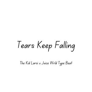Picture for song '"Tears Keep Falling" - The Kid Laroi Type Beat' by artist 'DJ Mauri B'